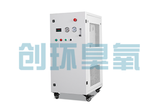 图木舒克石斑鱼养殖水质调控完整指南:臭氧发生器配置与操作步骤
